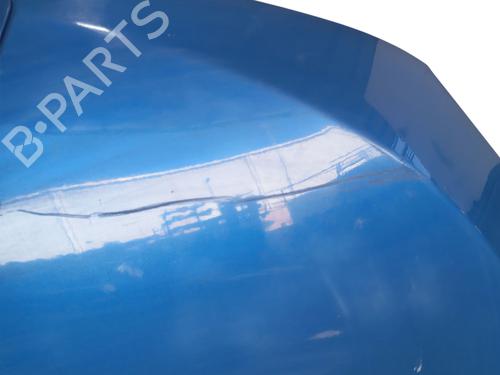 Hood RENAULT MEGANE III Hatchback (BZ0/1_, B3_) | BP30095712C1