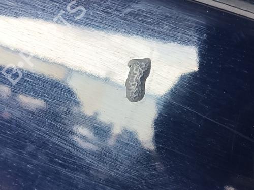 Right rear door DACIA SANDERO II 1.2 | BP23892116C5