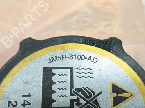 Expansion tank FORD FIESTA VI (CB1, CCN)  | BP17615119C120