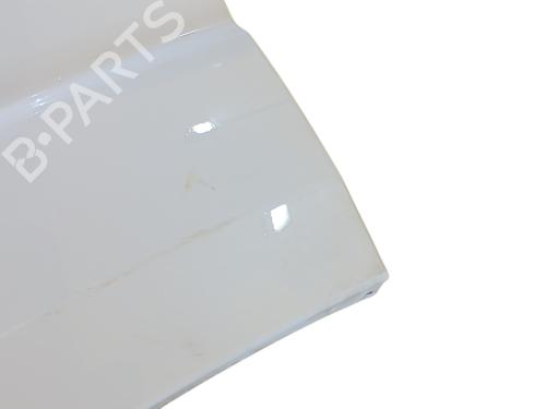 Left front fenders FIAT DUCATO Bus (250_) 140 Multijet 2,2 D | BP29351031C41 