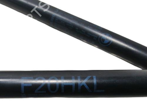 Tailgate lift support BMW 1 (F20) 116 d | BP15942731C138
