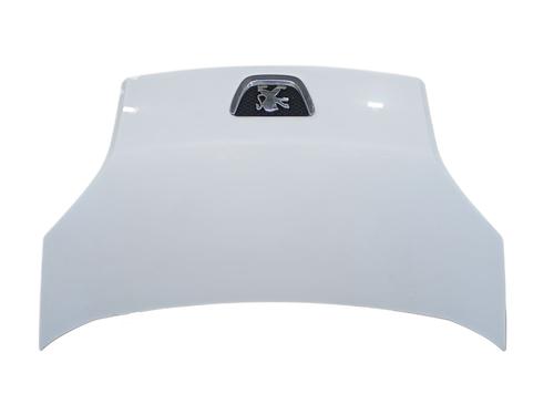 hood-peugeot-bipper-aa_-2008-34647837 main image