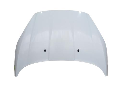 Motorhaube FORD FIESTA VI (CB1, CCN) 1.0 EcoBoost | BP30906457C1