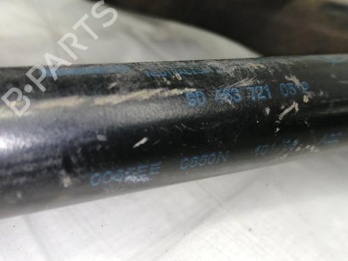 Tailgate lift support OPEL VECTRA B (J96)  | BP14261644C138 