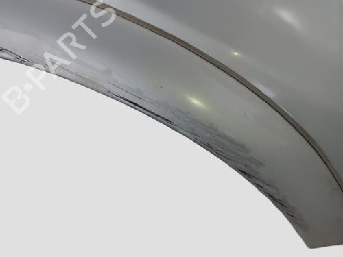 Right front fenders SSANGYONG MUSSO (FJ)  | BP21096392C42 