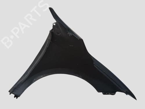 Left front fenders RENAULT FLUENCE (L3_) 1.5 dCi (L30D, L30L, L306, L33F, L33L, L33M, L33V, L33W) | BP22757984C41 