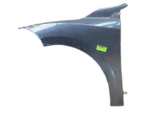 Guarda-lamas esquerdo RENAULT MEGANE III Hatchback (BZ0/1_, B3_) 1.6 16V (BZ0H) (101 hp) 32010279