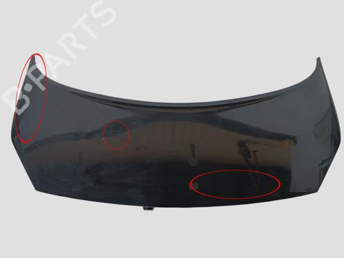 Used Hood RENAULT GRAND SCÉNIC II (JM0/1_) 1.9 dCi (JM0G, JM12, JM1G, JM2C) (120 hp) 21557339