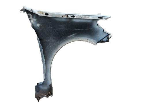 Left front fenders RENAULT CLIO III (BR0/1, CR0/1) 1.2 16V (BR02, BR0J, BR11, CR02, CR0J, CR11) | BP30179063C41