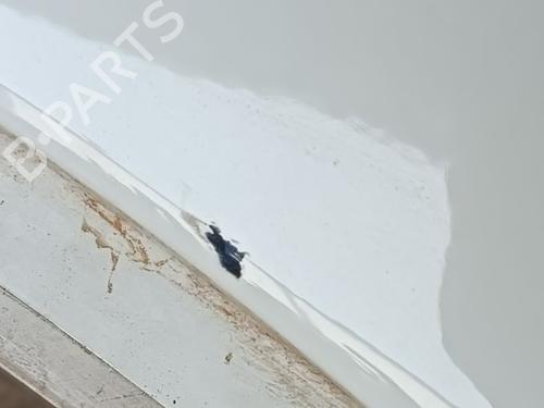 Right front fenders NISSAN QASHQAI II (J11, J11_) 1.5 dCi | BP23442104C42