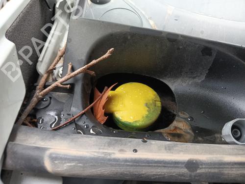 Windscreen washer tank DACIA SANDERO II TCe 90 (B8M1, B8MA, B8AC) | BP21540241C113 
