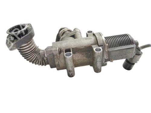 Egr FIAT BRAVO II (198_) 1.9 D Multijet (198AXB1A) | BP11347783M69 