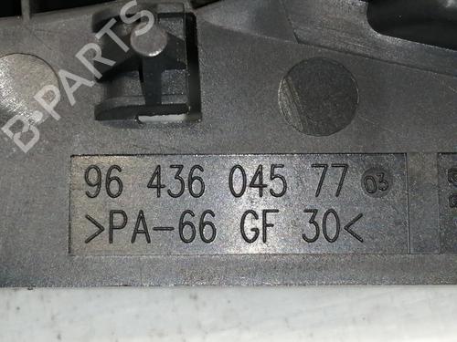 Front left interior door handle PEUGEOT 307 CC (3B) 2.0 HDi 135 | BP11056360I13 