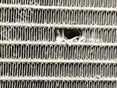 Water radiator DACIA LOGAN EXPRESS (FS_) 1.5 dCi (FS0W) | BP36074153M31 - Image 2