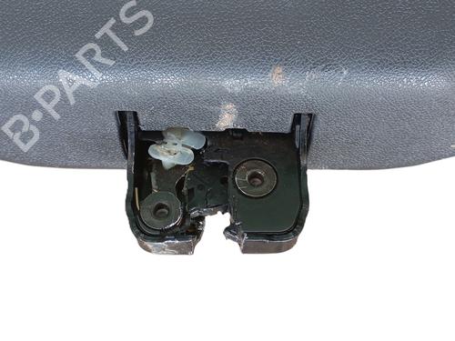 Tailgate RENAULT MEGANE III Hatchback (BZ0/1_, B3_)  | BP30095714C6 