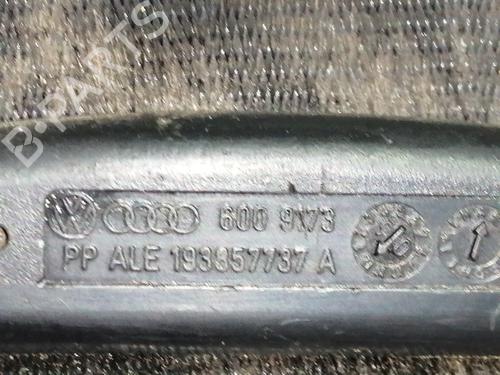 Front right seatbelt SKODA OCTAVIA II (1Z3) 1.9 TDI | BP10625531I25 