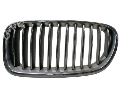 Front grille BMW 5 (F10) 530 d xDrive (258 hp) 51137203649 | 51137200727 | 51137261355