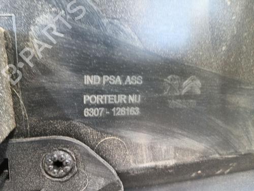 Front left panel CITROËN C4 Grand Picasso II (DA_, DE_) 1.6 BlueHDi 120 | BP29254294C58