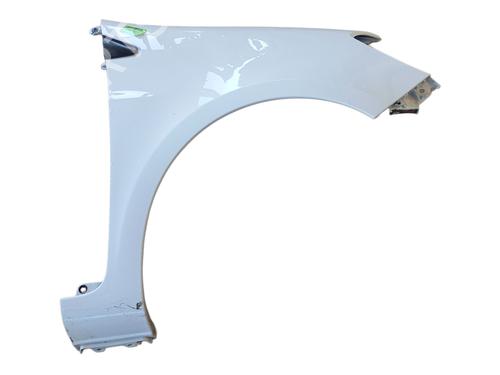 Forskærm Højre RENAULT CLIO III (BR0/1, CR0/1) 1.5 dCi (88 hp) 30273206