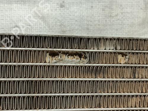 Water radiator CITROËN JUMPY II Van 2.0 HDi 120 | BP33462693M31 - Image 2