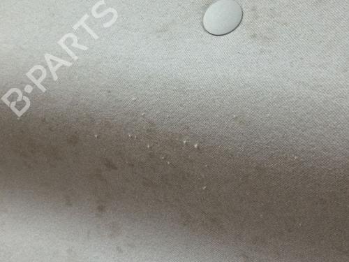 Interior roof FORD KA+ III (UK, FK) | BP30504555I12