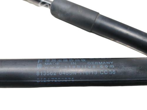 Tailgate lift support BMW 1 (F20) 116 d | BP15942731C138