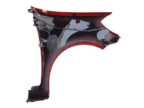 Left front fenders RENAULT CLIO III (BR0/1, CR0/1) 1.2 16V (BR02, BR0J, BR11, CR02, CR0J, CR11) | BP30140370C41