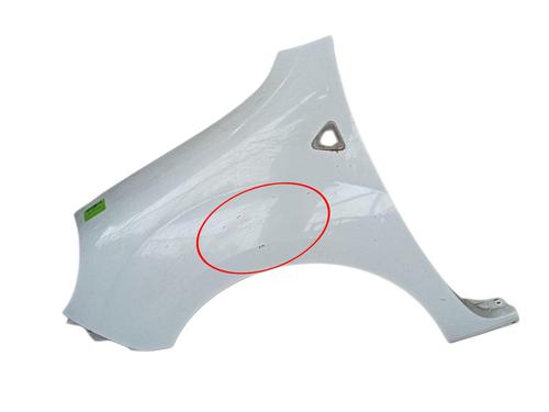 Used Left front fenders RENAULT KANGOO / GRAND KANGOO II (KW0/1_) 1.5 dCi 85 (KW0K, KW0L, KW0B) (86 hp) 23885615