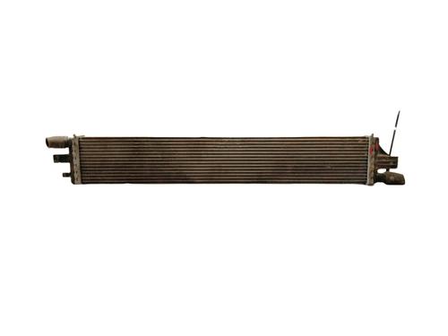 Used Water radiator RENAULT MASTER III Van (FV) 2.3 dCi 130 FWD (FV0M, FV0Y, FV0J, FV02, FV03) (130 hp) 29993493