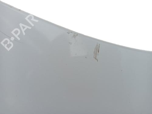 Hood NISSAN QASHQAI I (J10, NJ10) 1.6 dCi | BP23231047C1 