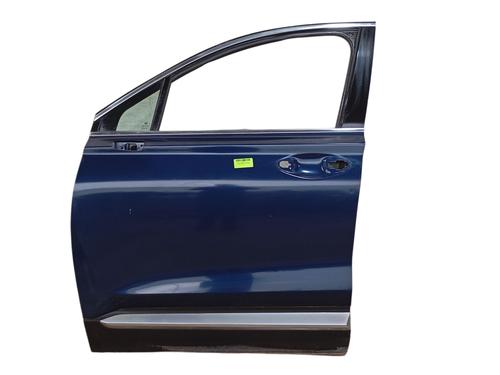 Left front door HYUNDAI SANTA FÉ IV (TM, TMA) 2.2 CRDi 76003S1000