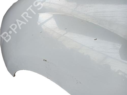 Left front fenders RENAULT KANGOO / GRAND KANGOO II (KW0/1_) 1.5 dCi 85 (KW0K, KW0L, KW0B) | BP23885615C41 