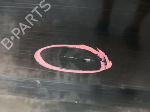 Left rear door LAND ROVER RANGE ROVER SPORT I (L320) 2.7 D 4x4 | BP20335076C4 