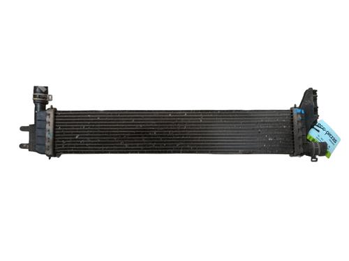 Used Water radiator DACIA DOKKER Box Body/MPV 1.5 Blue dCi 95 (FEJL) (95 hp) 28024374