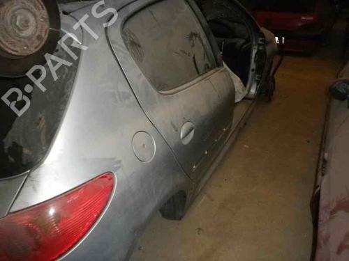 Pedal PEUGEOT 206 Hatchback (2A/C) 2.0 HDI 90 | BP5345440I4 