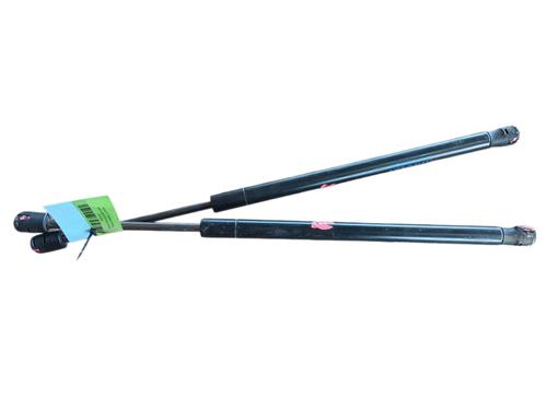 Hood lift support TESLA MODEL S (5YJS)  | BP26884935C139 