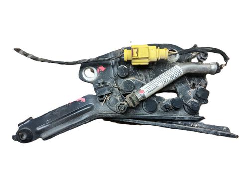 Hinge/Door check strap VW TIGUAN (AD1, AX1) 2.0 TDI | BP29402237C146 