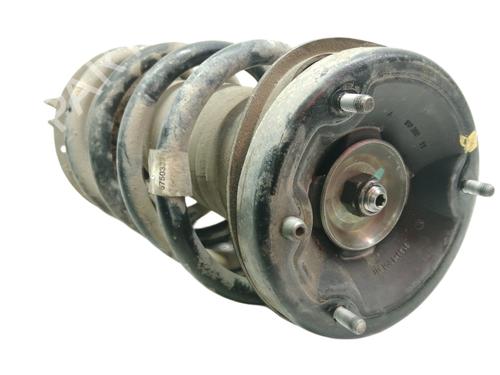 Used Left front shock absorber BMW X5 (E53) 3.0 d (184 hp) 10383439