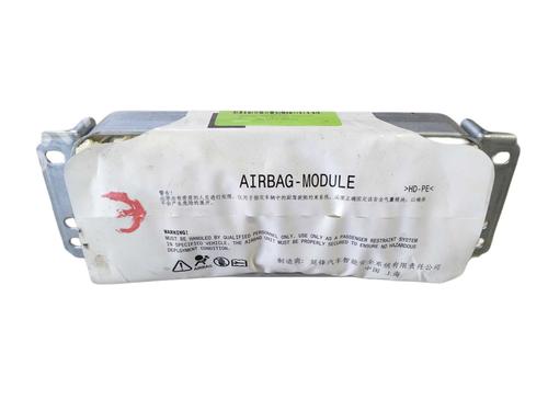 Airbag passeggero Airbag passeggero 39587919 39587919