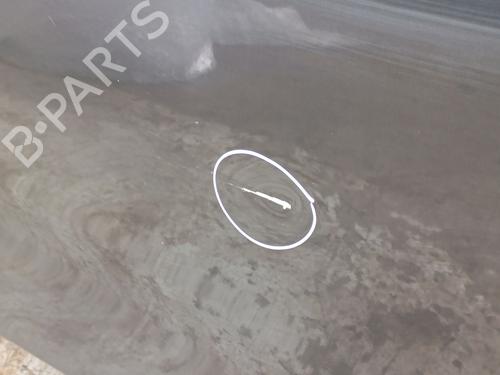 Left rear door BMW X5 (G05, F95) xDrive 30 d Mild-Hybrid | BP29131512C4 