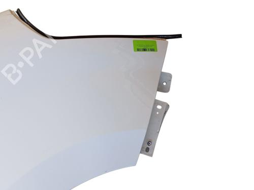 Right front fenders RENAULT MASTER III Van (FV) 2.3 dCi 130 FWD (FV0M, FV0Y, FV0J, FV02, FV03) | BP29473965C42 