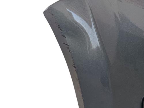 Front bumper RENAULT MEGANE II (BM0/1_, CM0/1_)  | BP17480705C7 