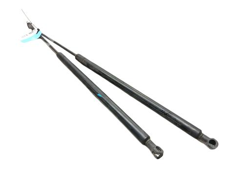 Tailgate lift support CITROËN XSARA Break (N2) 1.9 D | BP18409365C138 