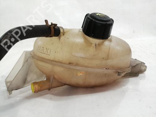 Expansion tank RENAULT MASTER III Van (FV) 2.3 dCi 100 FWD (FV0A, FV0B, FV0G, FV0K, FV0H) 217100015R