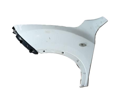 Used Left front fenders NISSAN JUKE (F15) 1.6 (117 hp) 29527965