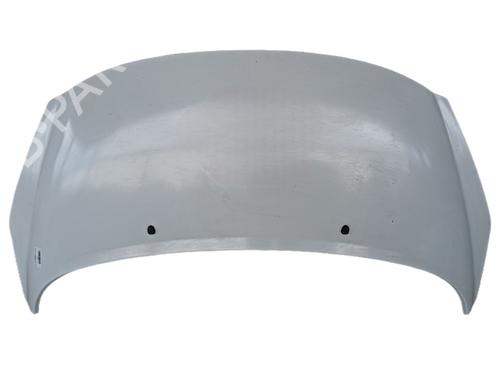 Used Hood PEUGEOT 207 Hatchback Van (WA_, WC_) 1.4 HDi (68 hp) 18918790