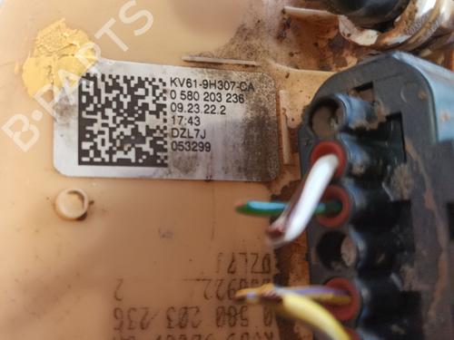 Fuel pump FORD TRANSIT CONNECT V408 Box Body/MPV | BP36016931M76 - Image 2