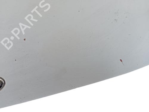Hood FORD TRANSIT Van (FA_ _)  | BP18407131C1 