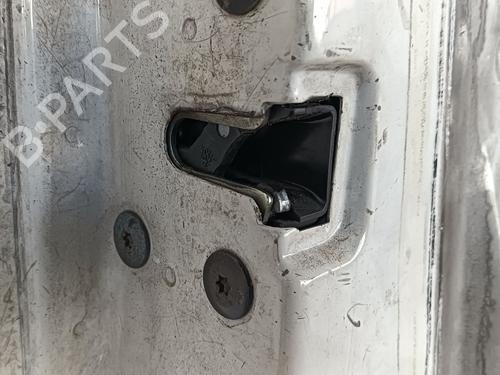 Left front door NISSAN INTERSTAR Van (X70) dCi 100 | BP20664703C2 