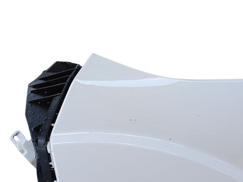 Left front fenders FIAT DUCATO Bus (250_) 140 Multijet 2,2 D | BP29351031C41 